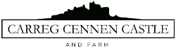Carreg Cennen Castle
