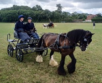 Ollie at Show